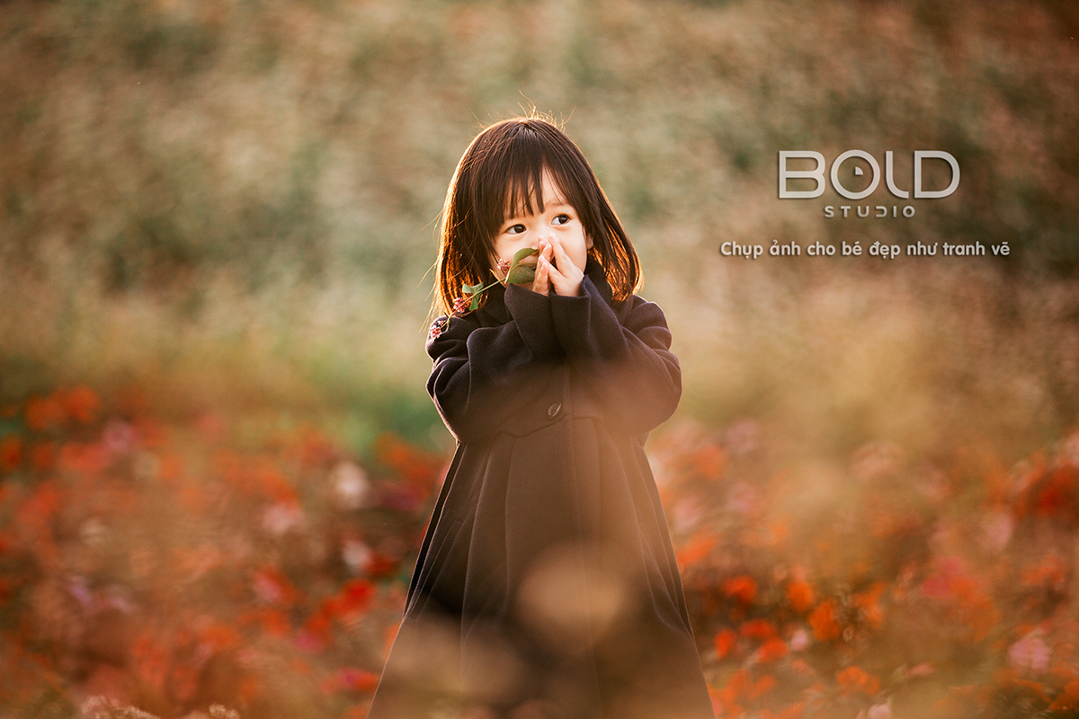 Bold Studio - Chụp ảnh cho bé đẹp như tranh vẽ